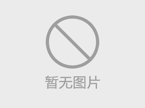 矿石元素分析测定仪 萤石二氧化硅测定仪